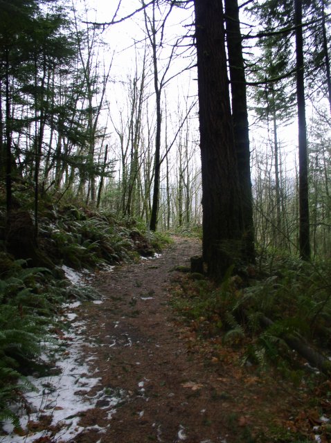 12.23.05 Elowah Falls 008 